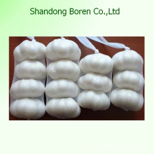 2015 Chinesische frische Größe 5.5cm Normaler weißer Knoblauch